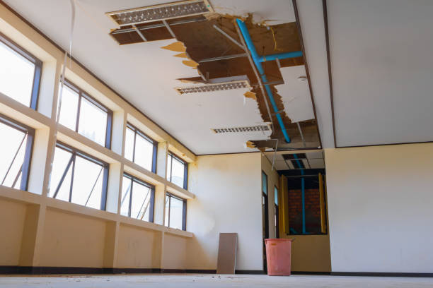  Westmont, IL Water damage restoration Pros