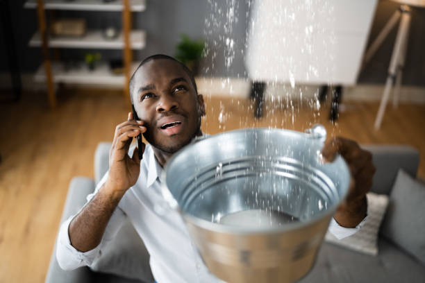 Best Emergency water damage restoration  in Westmont, IL