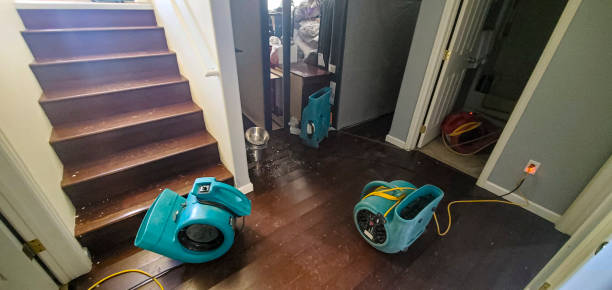Best Sewage cleanup and water damage restoration  in Westmont, IL