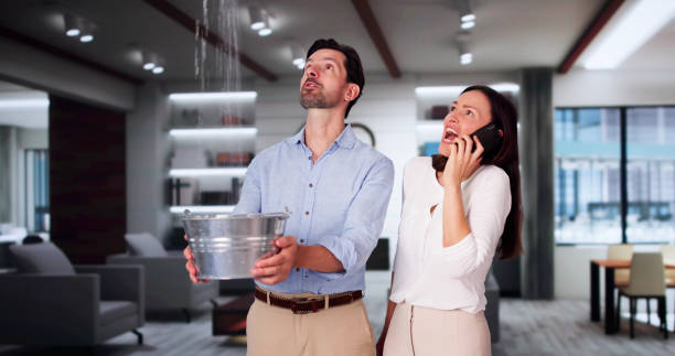 Best Flooded house restoration  in Westmont, IL